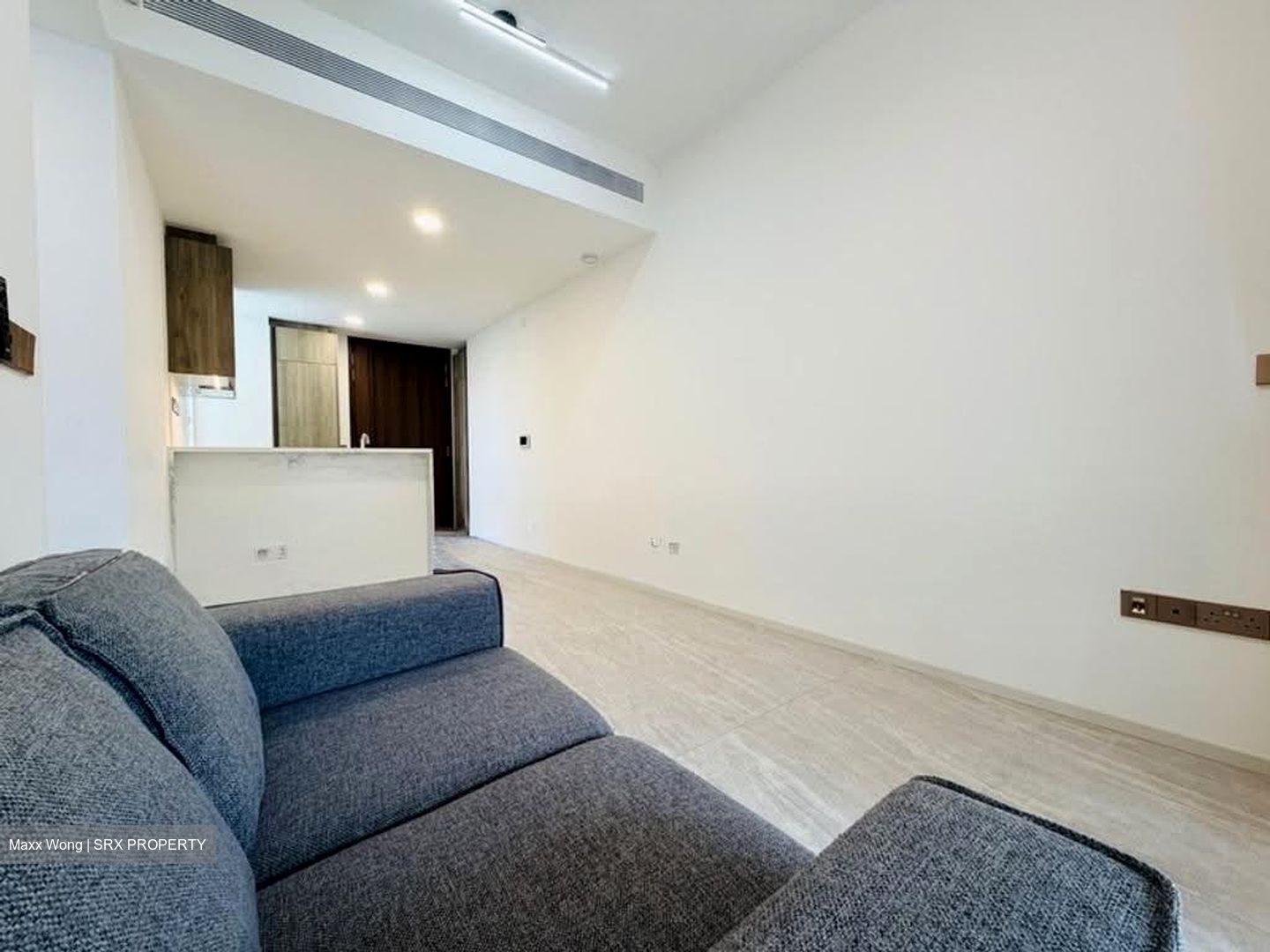 Leedon Green (D10), Condominium #638595171